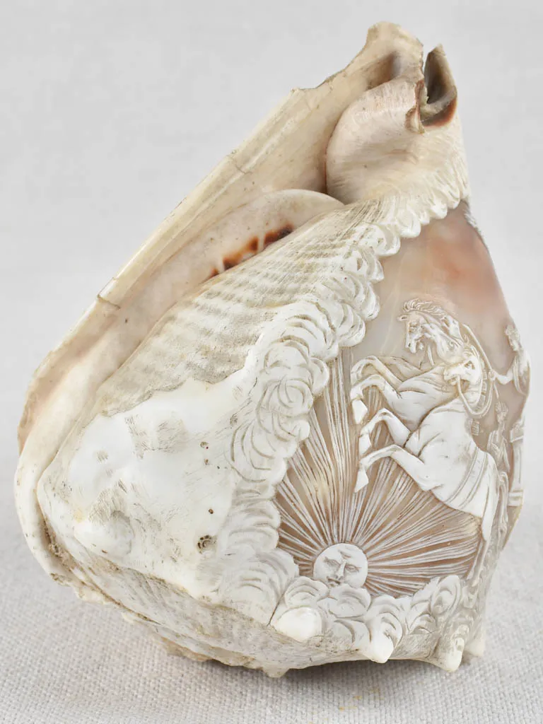 19th-century carved cameo conch shell 5½"