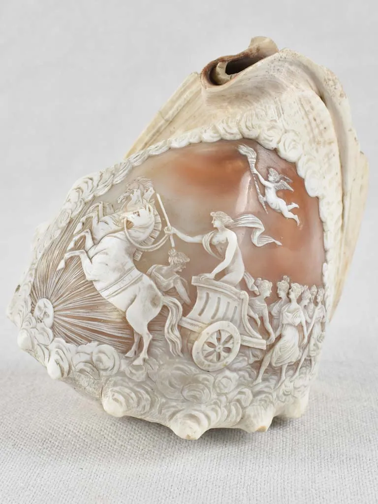 19th-century carved cameo conch shell 5½"