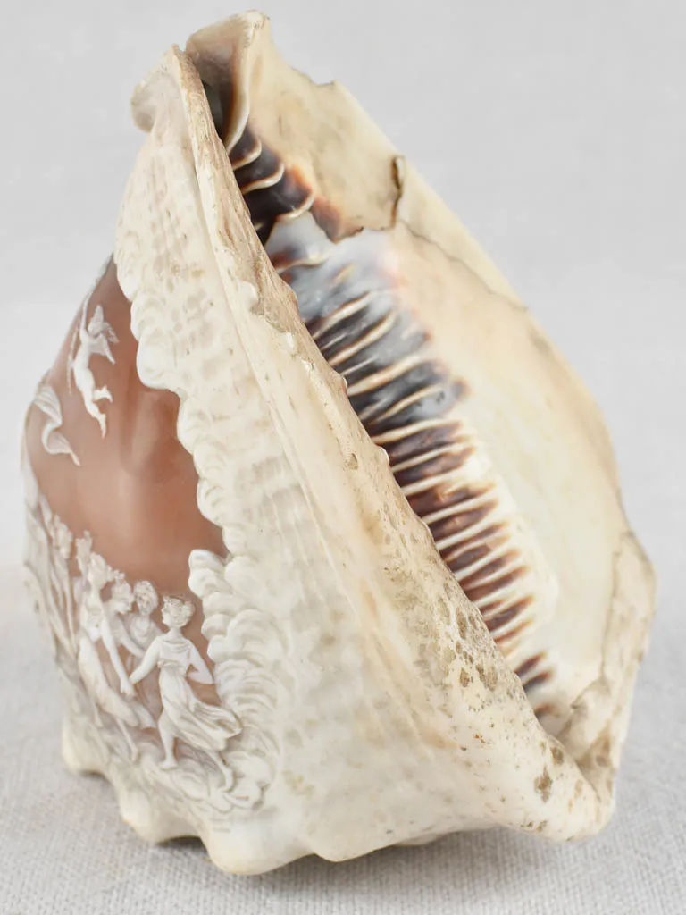 19th-century carved cameo conch shell 5½"