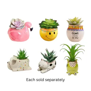 3.5” Sunny Smiles Faux Succulent Collection