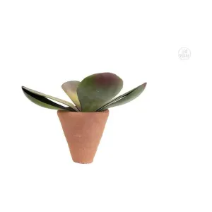 3" Mini Terra-Cotta Sprig Planter