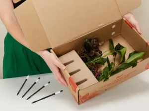 4 Plants   4 Sustee Bundle Save $20.90