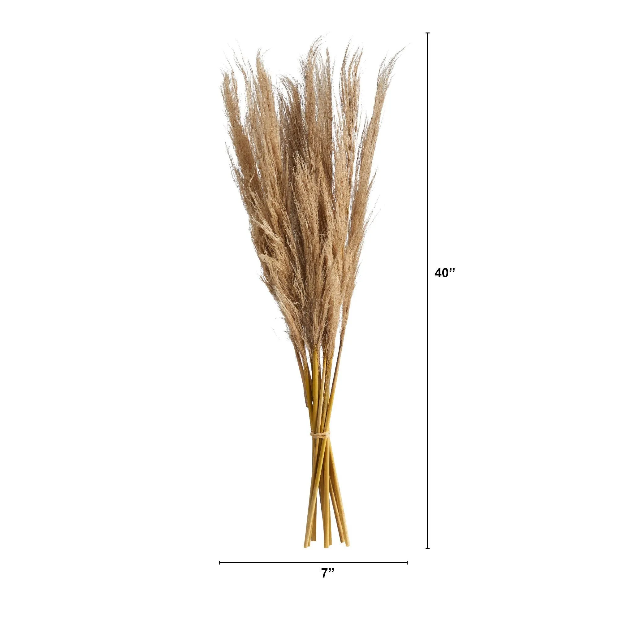 40” Dried Natural Pampass Grass Bundle (Set of 2)