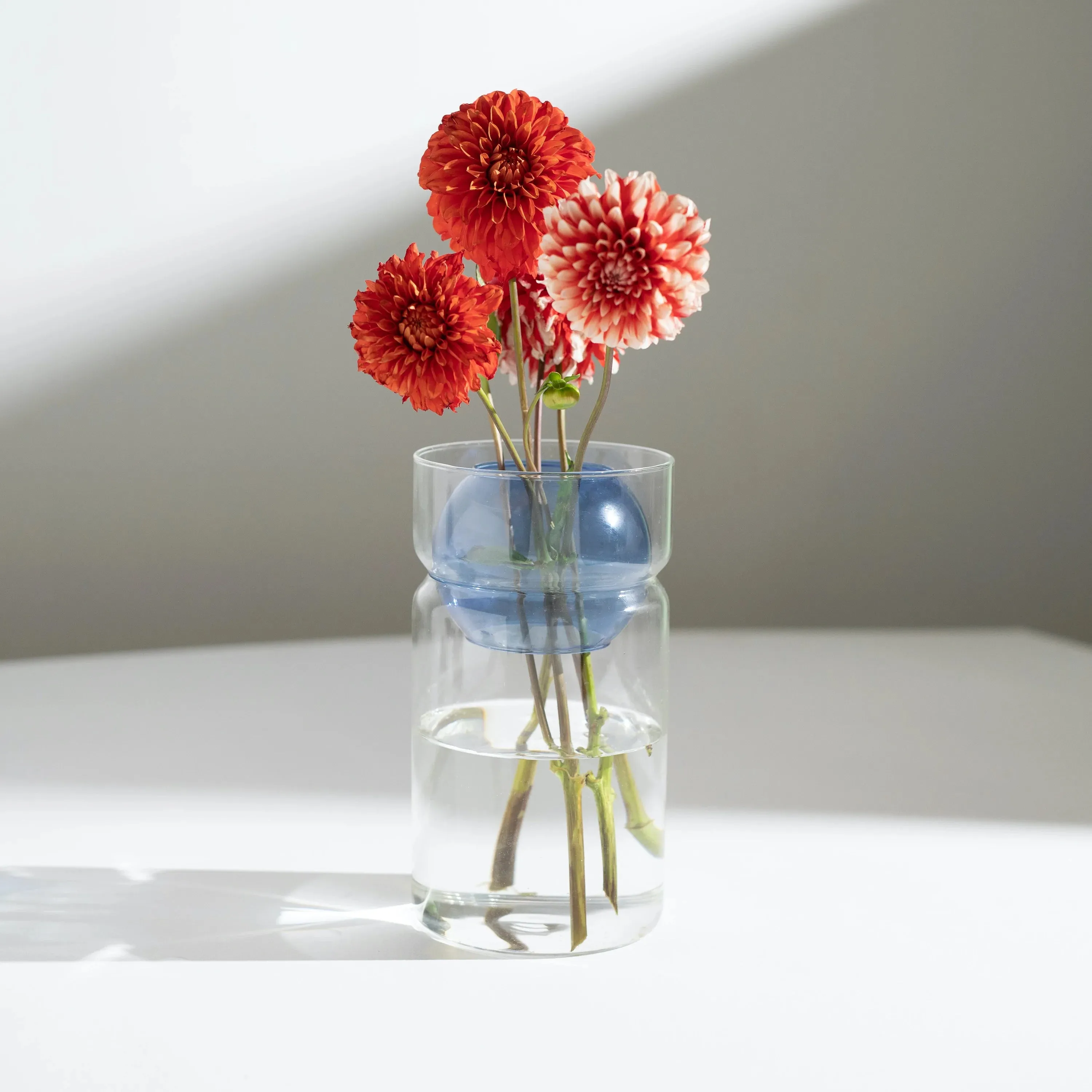 Balance Vase- Clear   Blue