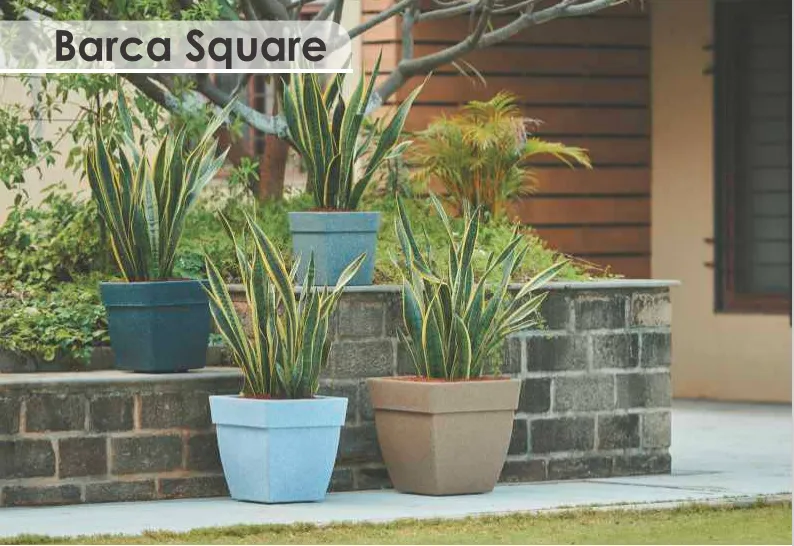 Barca Square Planter For Indoor Or Outdoor By Harshdeep - 1 Pc