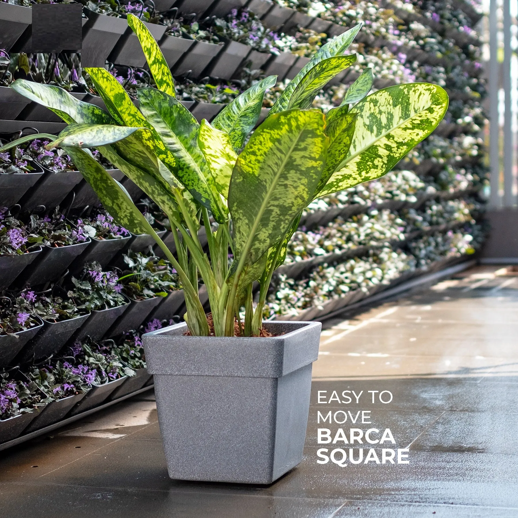 Barca Square Planter For Indoor Or Outdoor By Harshdeep - 1 Pc