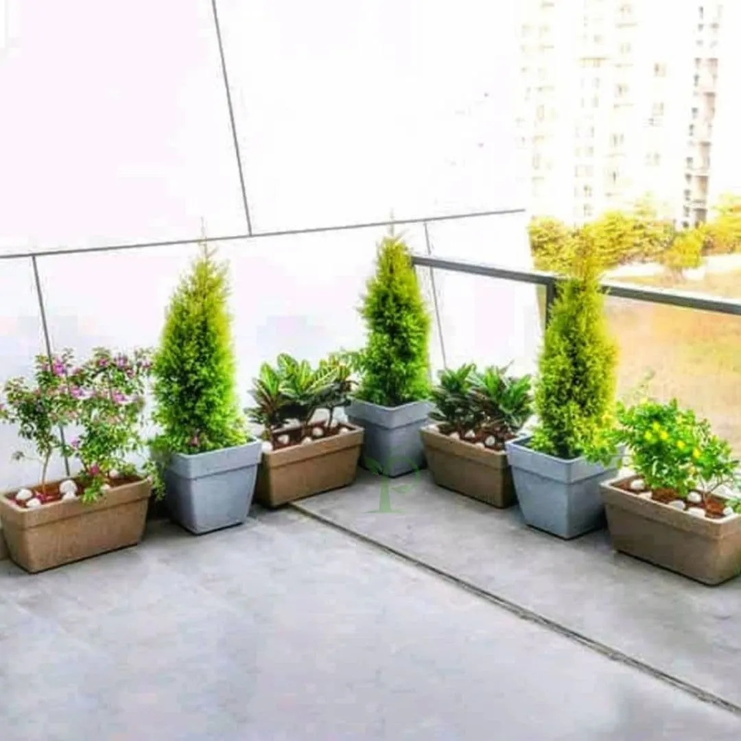 Barca Square Planter For Indoor Or Outdoor By Harshdeep - 1 Pc