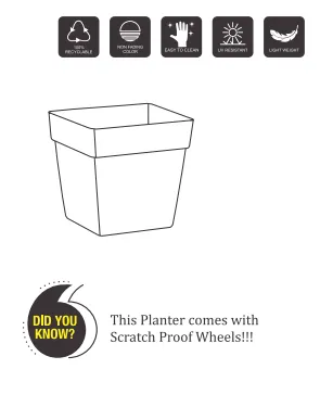 Barca Square Planter For Indoor Or Outdoor By Harshdeep - 1 Pc