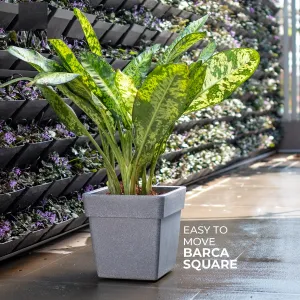 Barca Square Planter For Indoor Or Outdoor By Harshdeep - 1 Pc