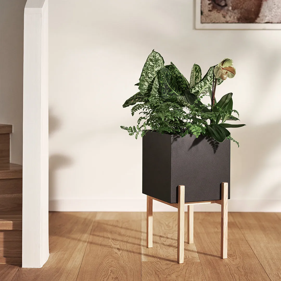 Botanic Pedestal Pot