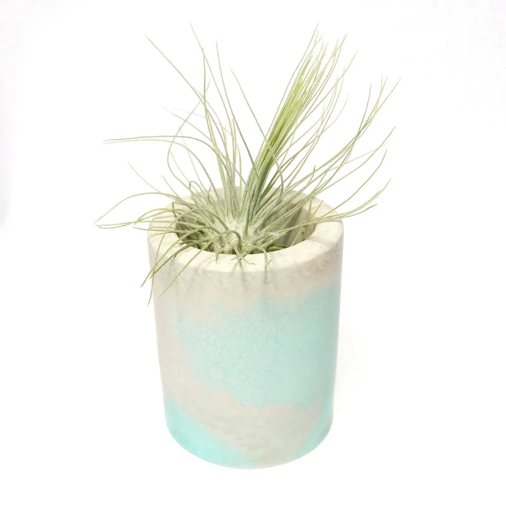 Cloud Concrete Planter