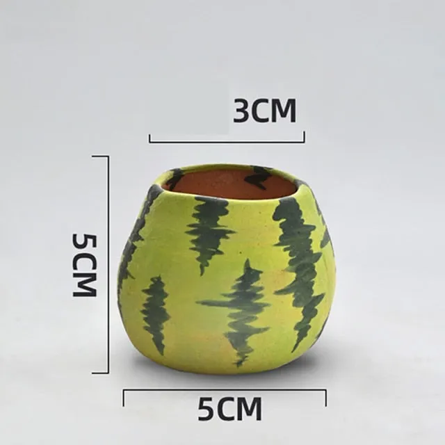 Cute Watermelon Plant Pots set | Mini Succulent Flower Pot with drainage hole