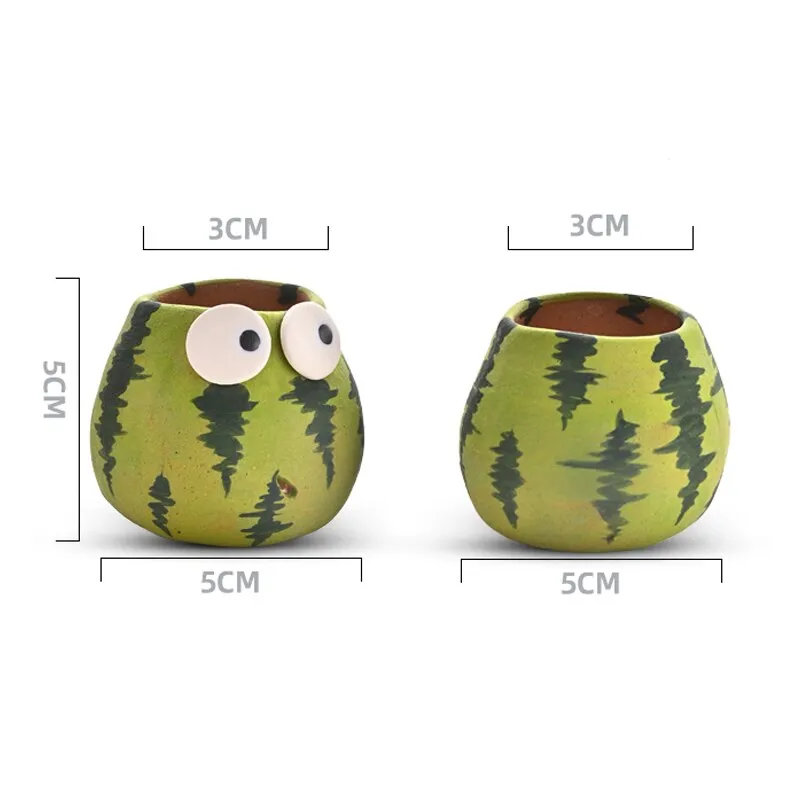Cute Watermelon Plant Pots set | Mini Succulent Flower Pot with drainage hole
