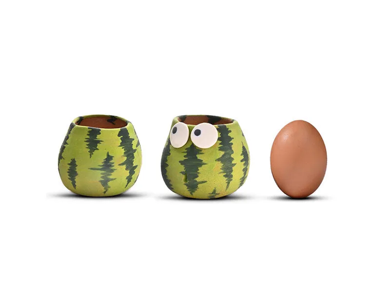 Cute Watermelon Plant Pots set | Mini Succulent Flower Pot with drainage hole