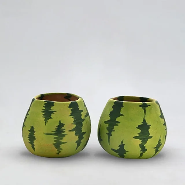 Cute Watermelon Plant Pots set | Mini Succulent Flower Pot with drainage hole