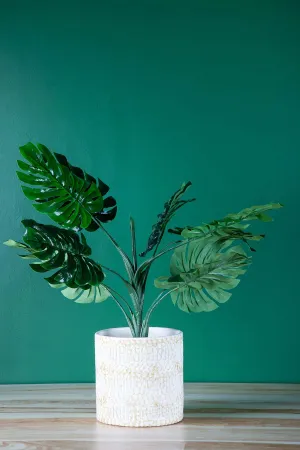 Cutwork Cylinder White Herb Planter
