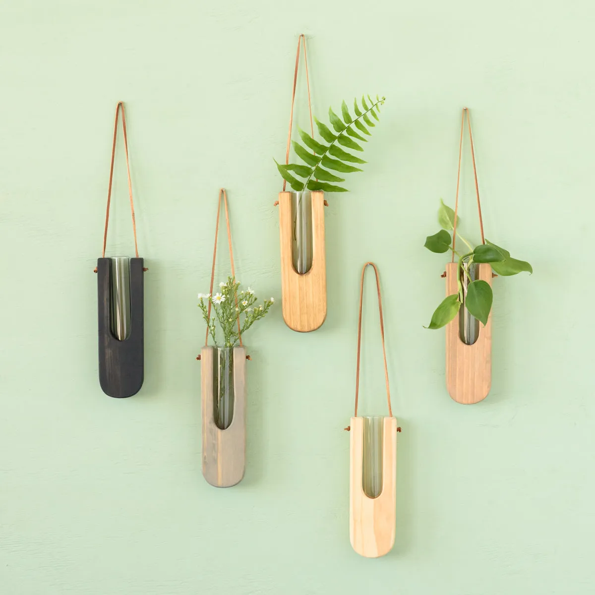 Decorative Wall Propagation Vase