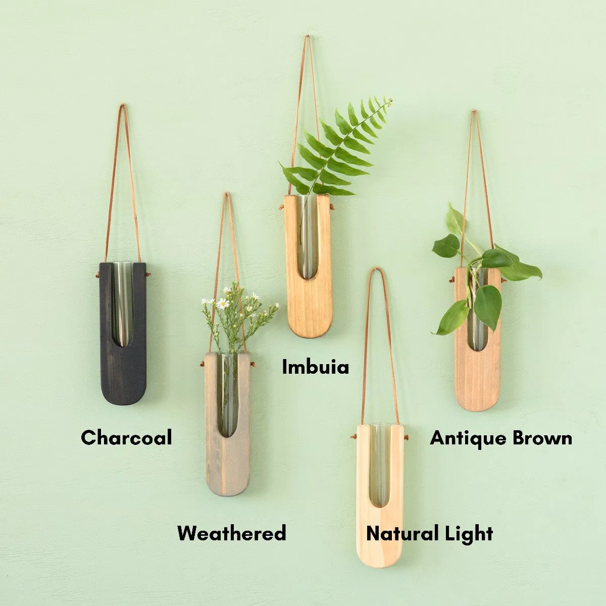 Decorative Wall Propagation Vase