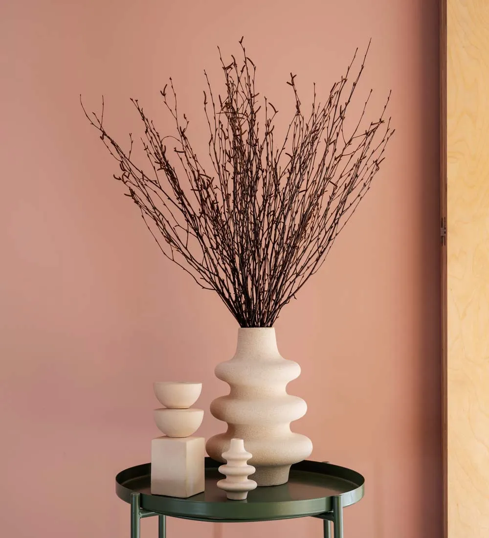 Dried Birch Stems