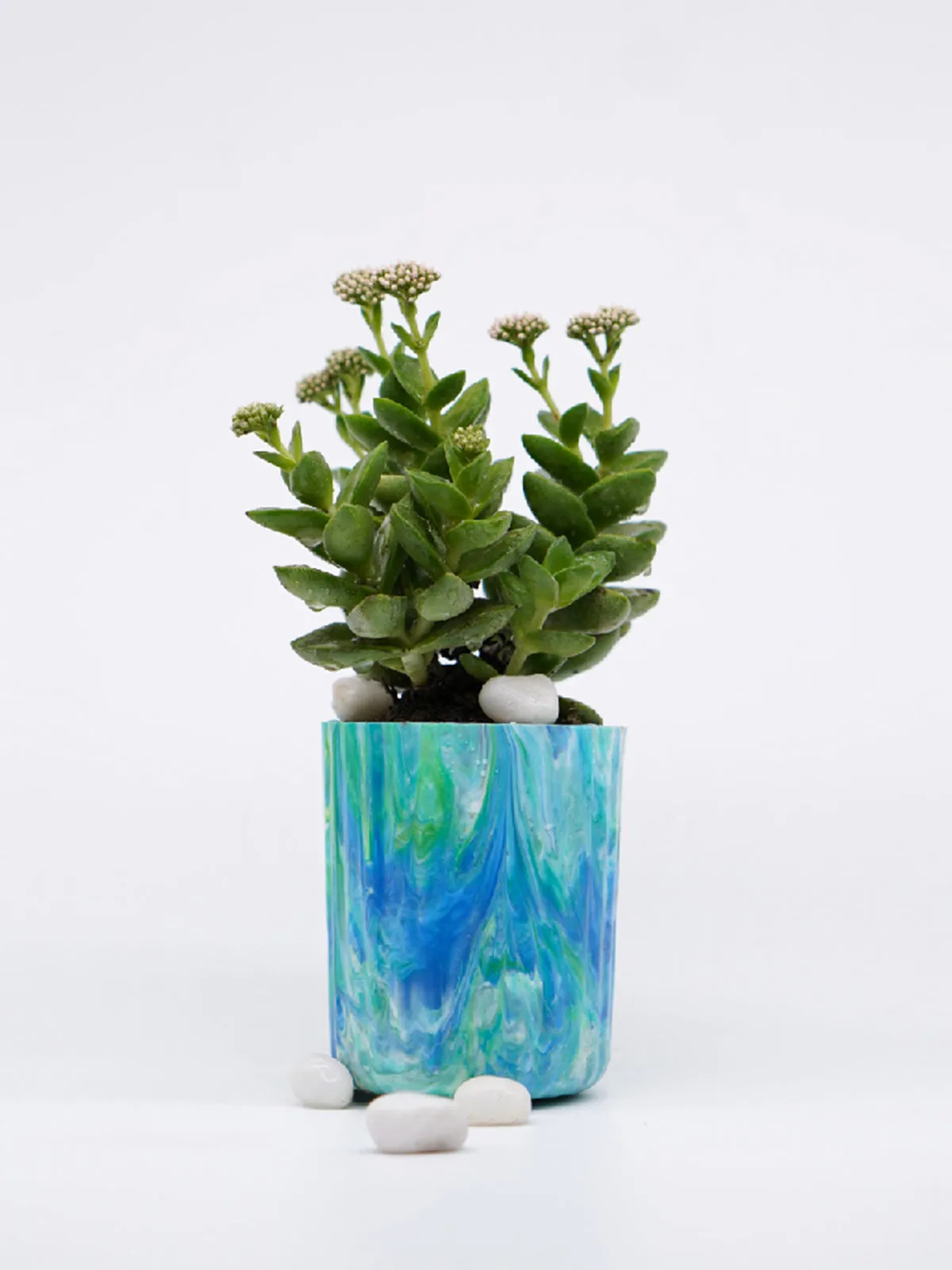 ECO-POTS Planter Aquamarine