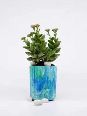 ECO-POTS Planter Aquamarine