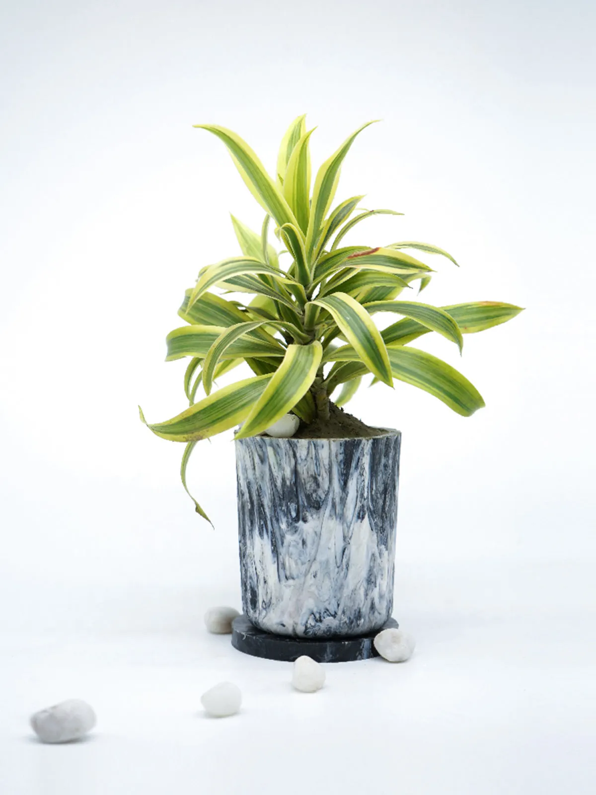 ECO-POTS Planter Charcoal