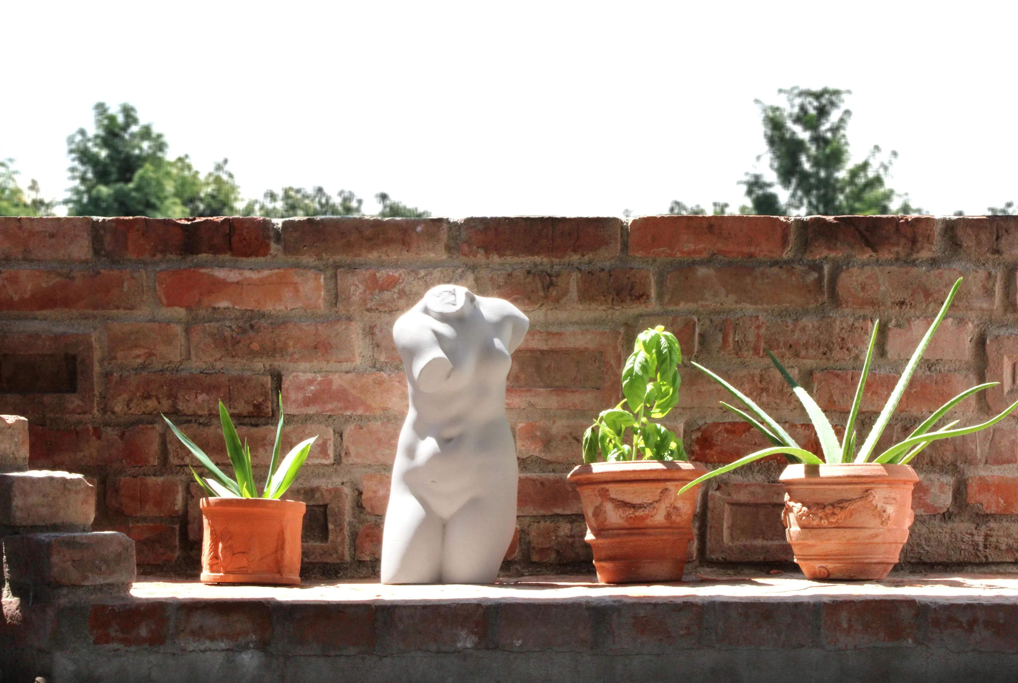 Female Torso Statue (Aphrodite)