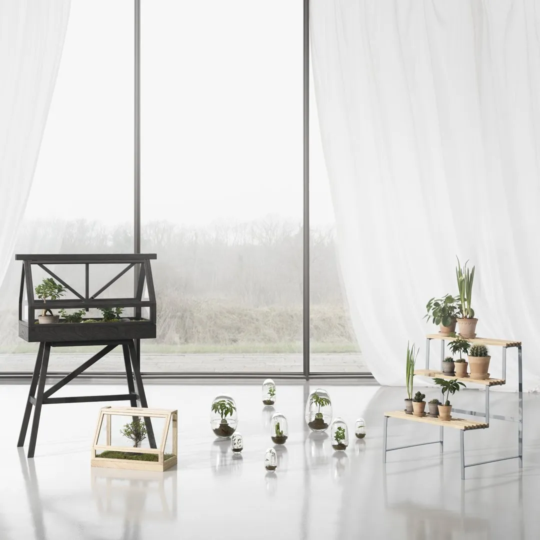 Greenhouse