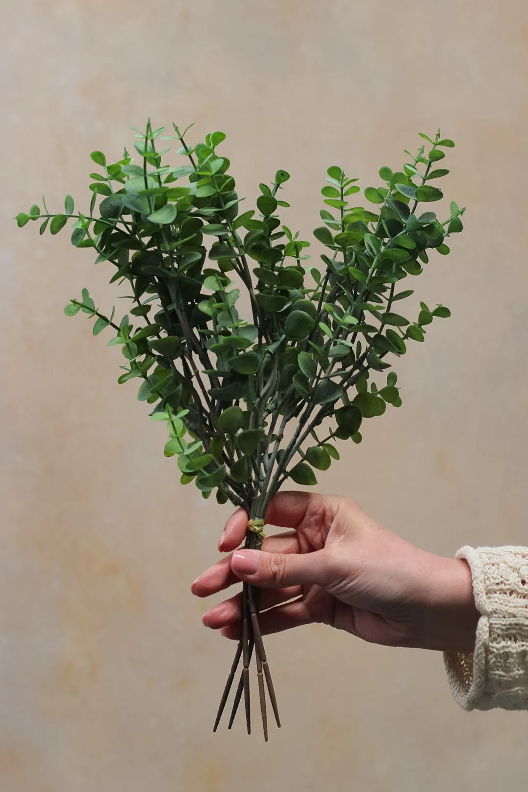 Little Button Eucalyptus Bundle
