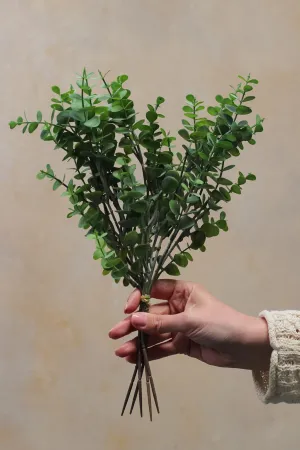 Little Button Eucalyptus Bundle