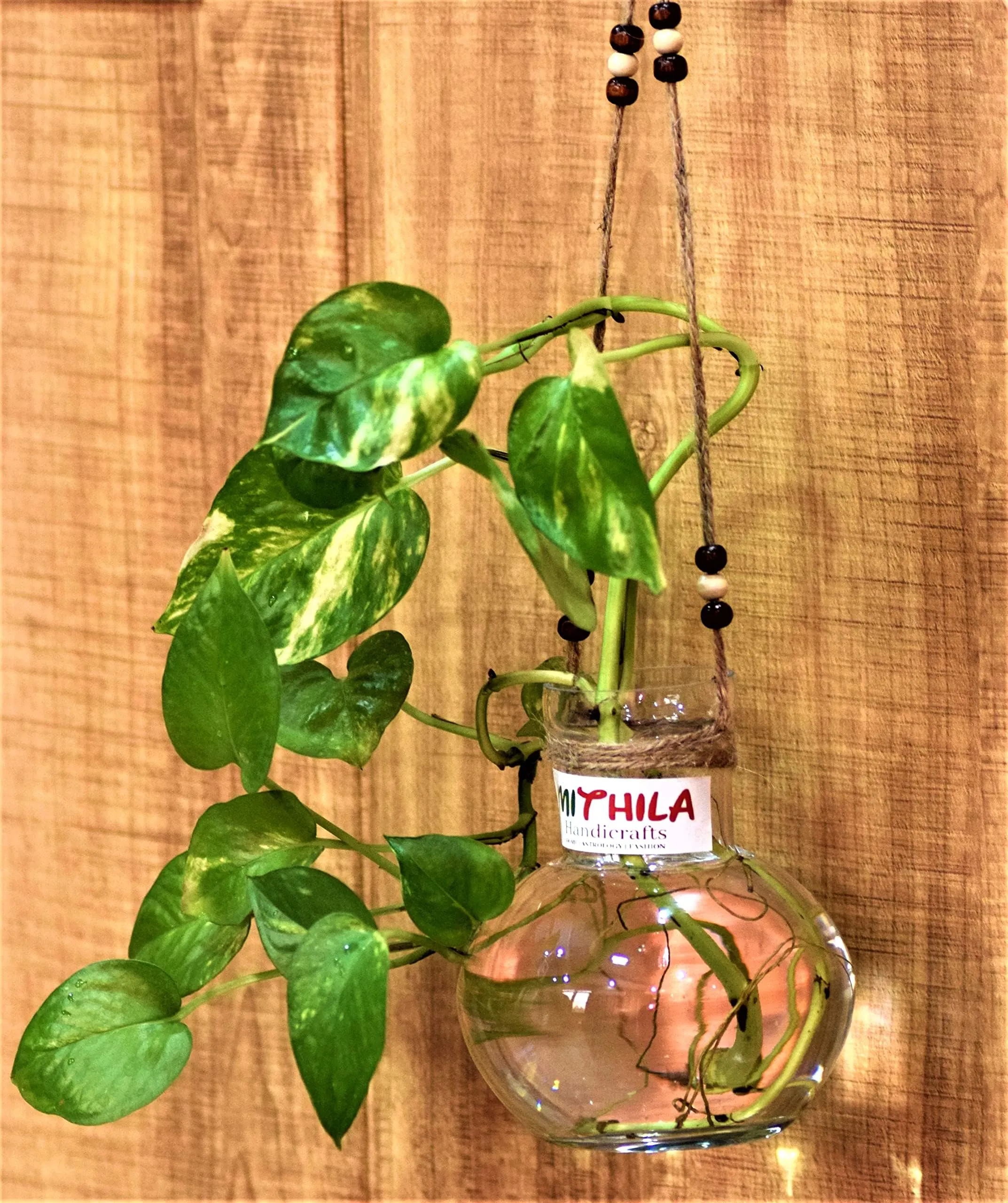 Mithila Handicrafts Ball Shaped Round Glass Vase | for Money Plant | Lucky Bamboo Plant | Elegant Vase | with Jute Rope Hanging Glass | Flower Pot | 12X10 cm, Clear
