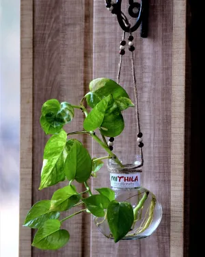 Mithila Handicrafts Ball Shaped Round Glass Vase | for Money Plant | Lucky Bamboo Plant | Elegant Vase | with Jute Rope Hanging Glass | Flower Pot | 12X10 cm, Clear