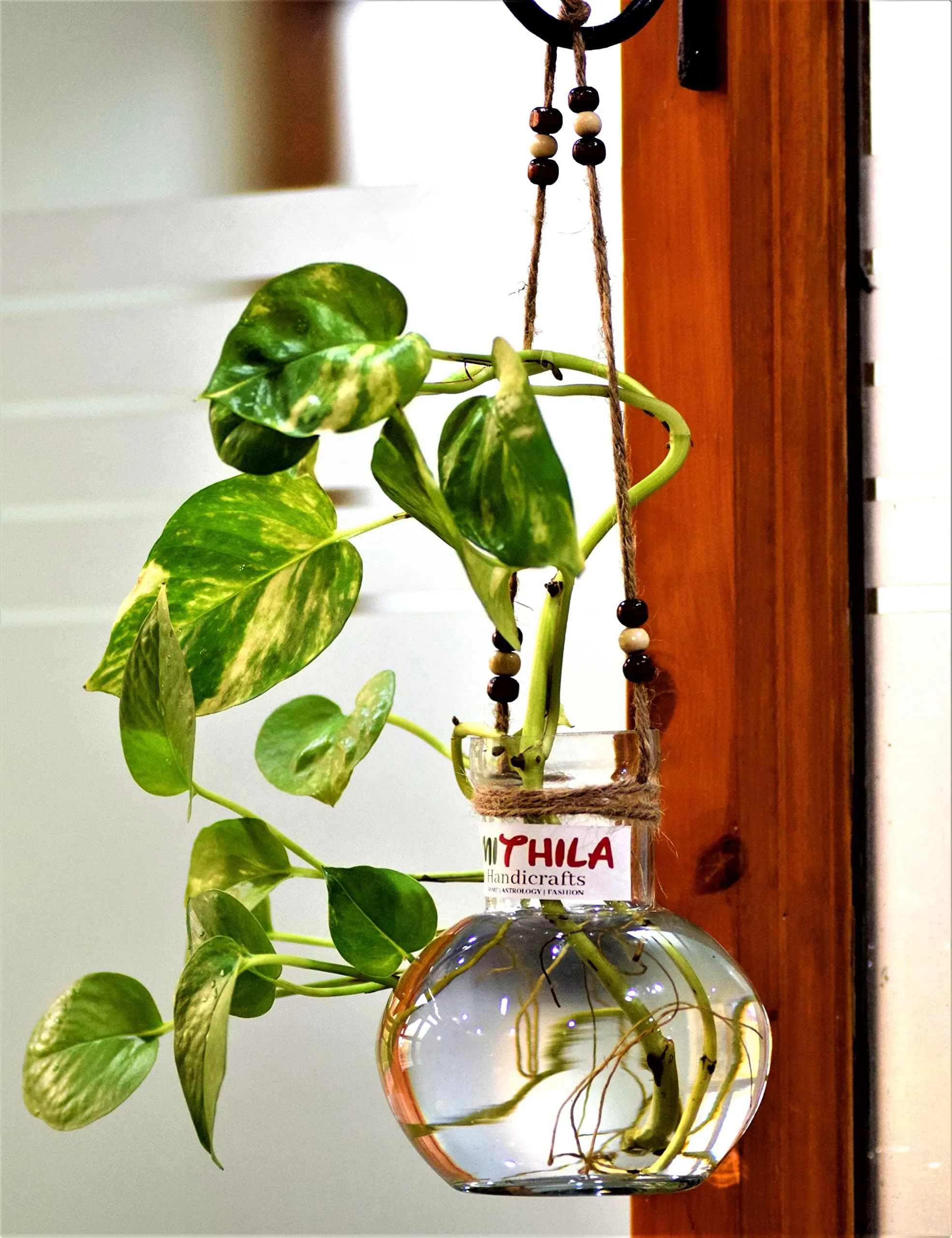 Mithila Handicrafts Ball Shaped Round Glass Vase | for Money Plant | Lucky Bamboo Plant | Elegant Vase | with Jute Rope Hanging Glass | Flower Pot | 12X10 cm, Clear