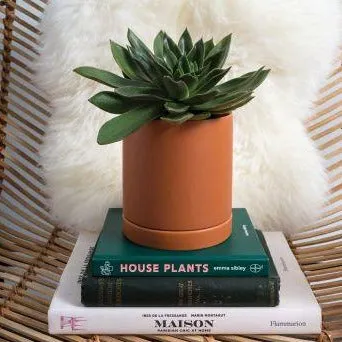 Romey Pot | Terracotta (Medium)
