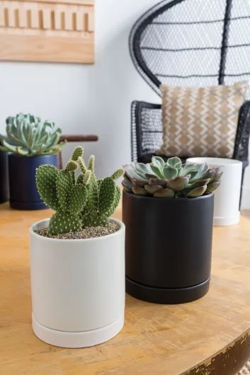 Romey Pot | White (Medium)