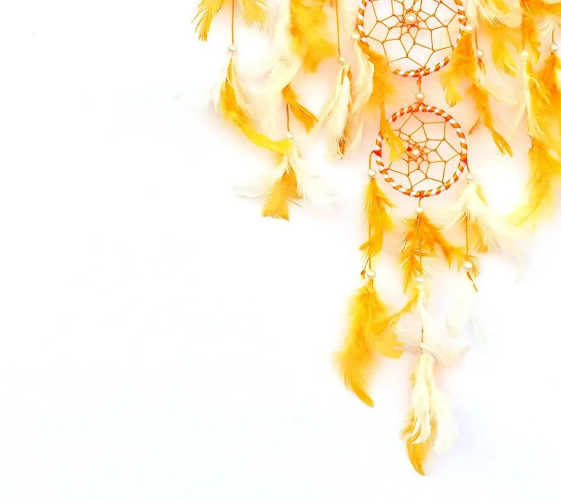 RPH Handicrafts Dream Catcher for Bedroom | Wall Hanging | Home Decor Best for Kids Room Gift and Decoration RPH1018_B