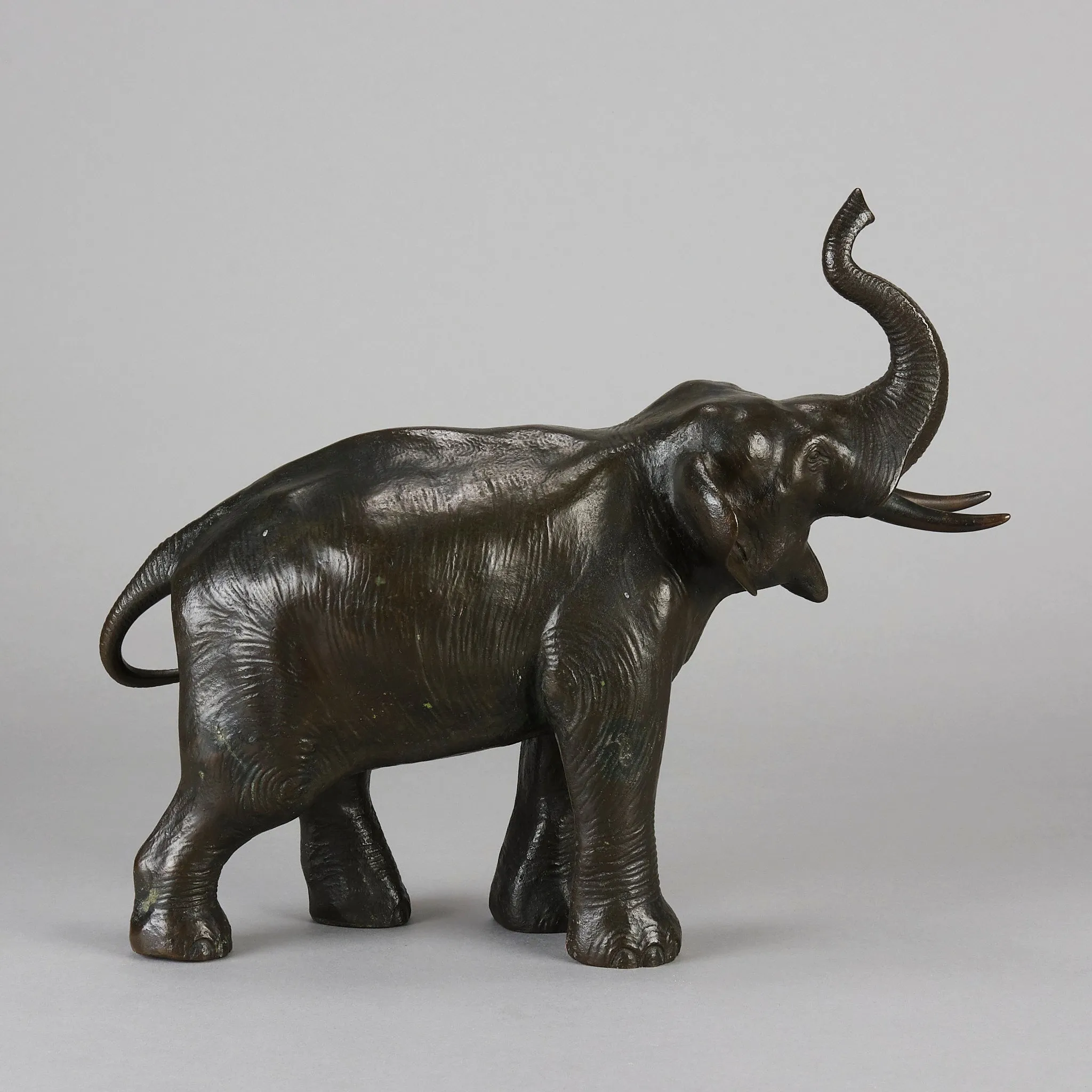 Tokyo School "Elephant with Trunk Raised"