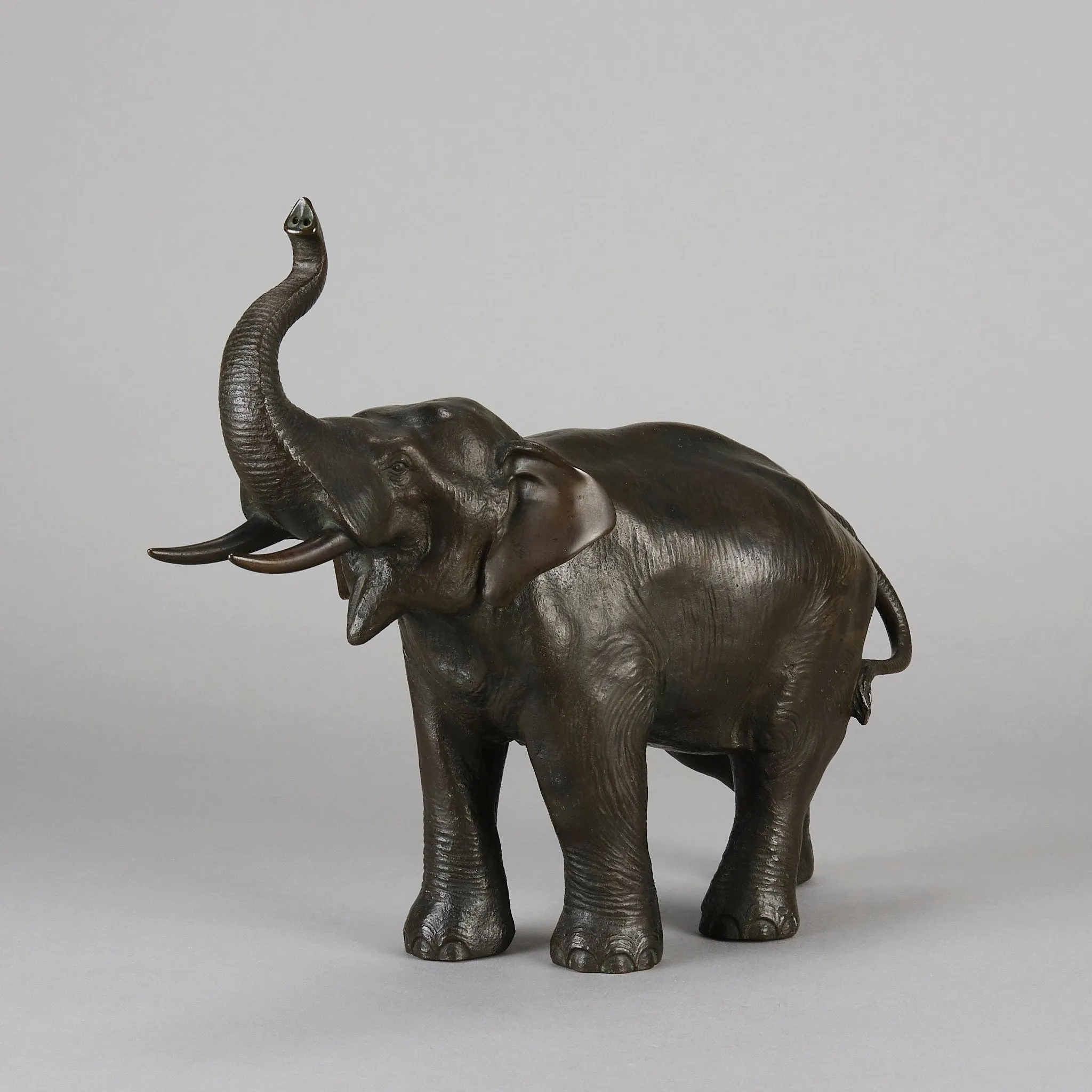 Tokyo School "Elephant with Trunk Raised"