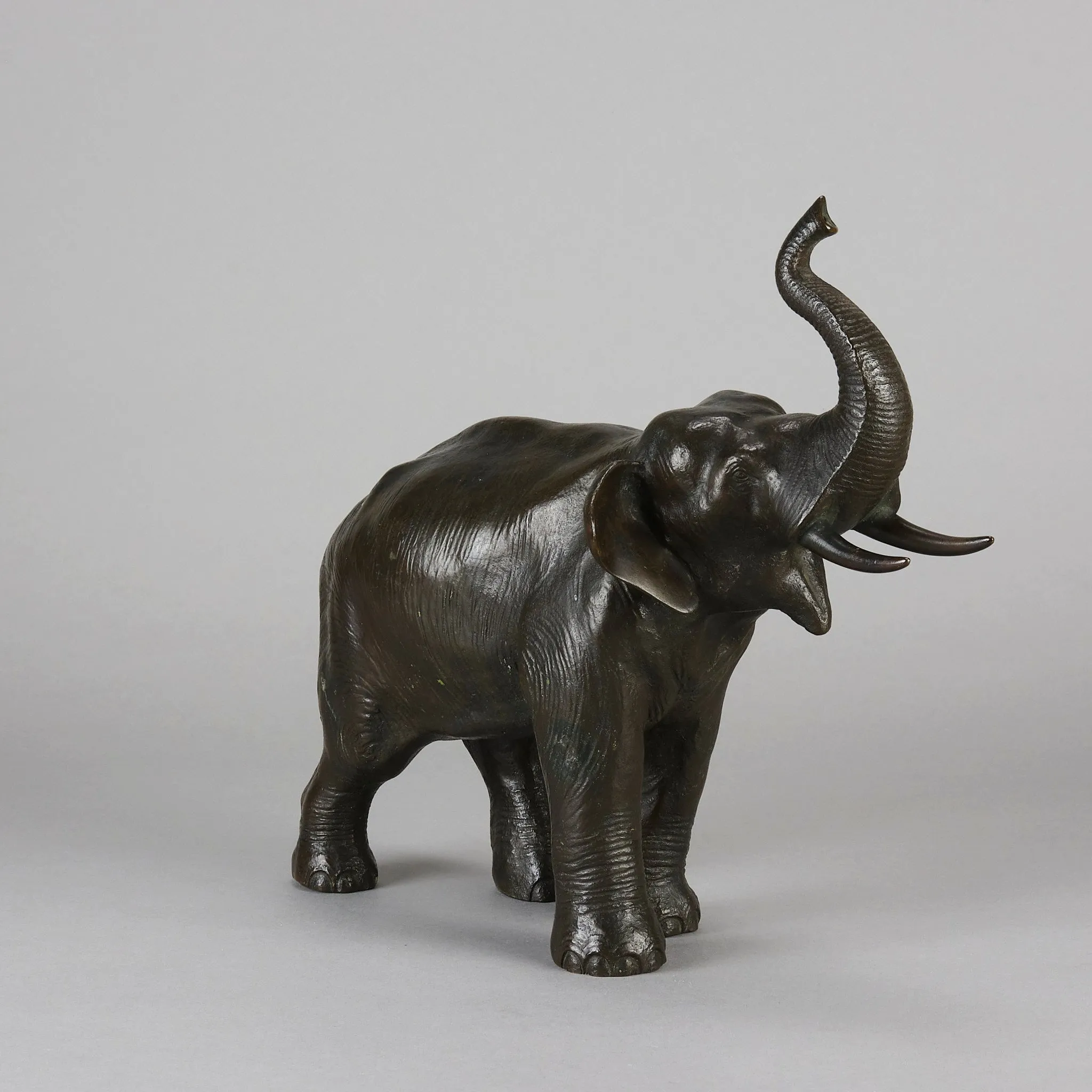 Tokyo School "Elephant with Trunk Raised"