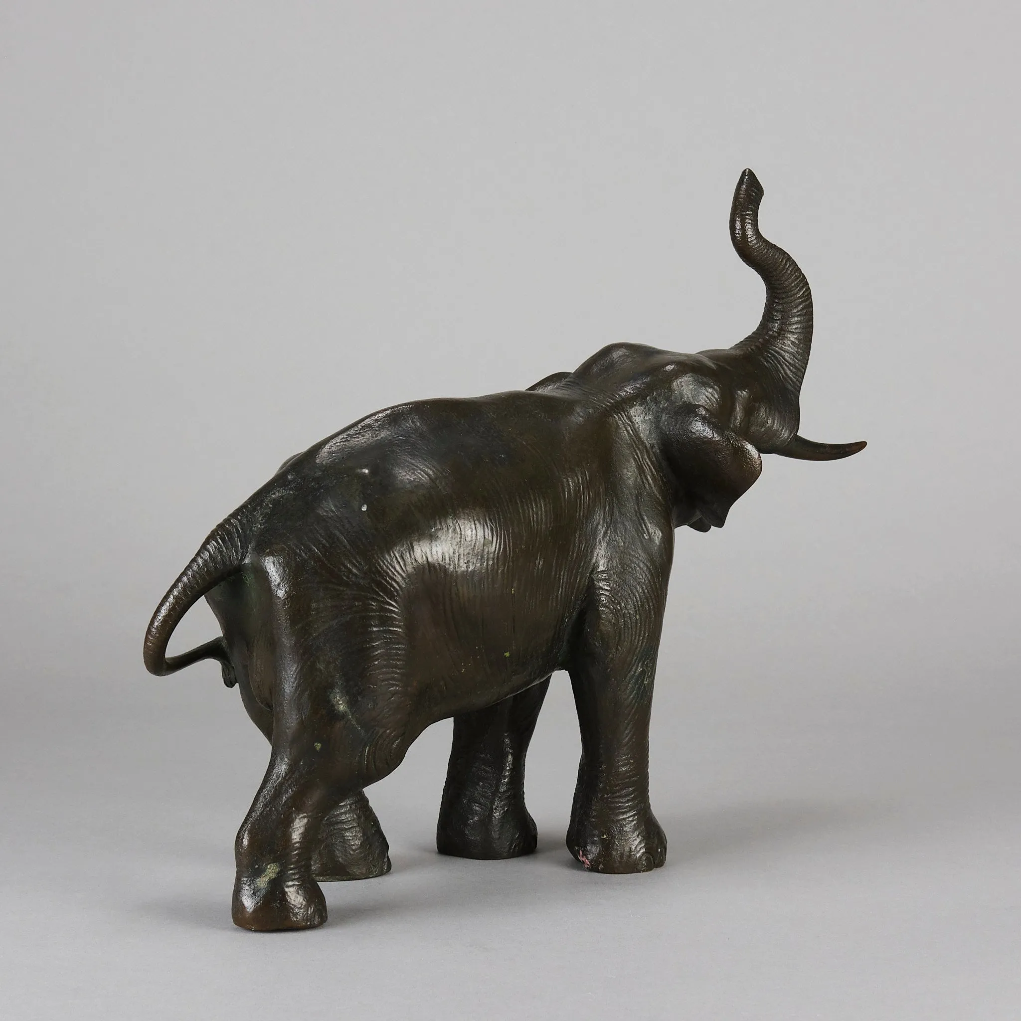Tokyo School "Elephant with Trunk Raised"