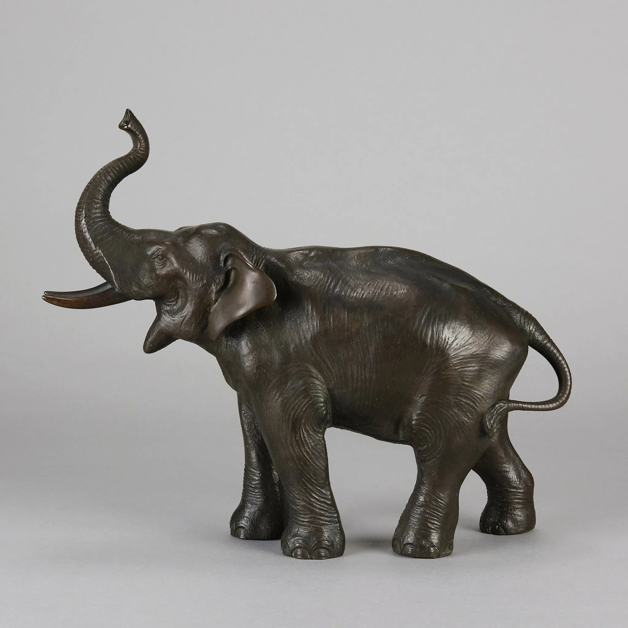 Tokyo School "Elephant with Trunk Raised"